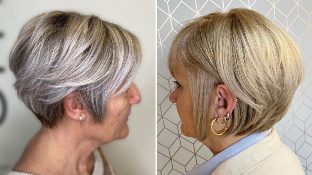 Stacked Gray Pixie Bob